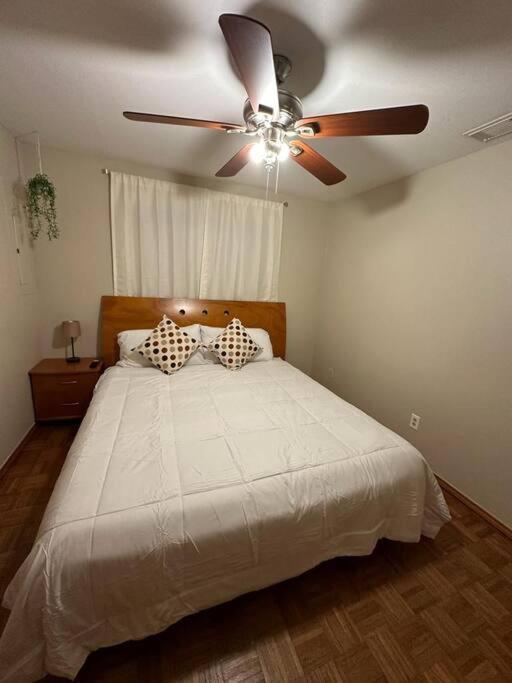 Mcallen 4Br With Pool, Shopping & More Bagian luar foto