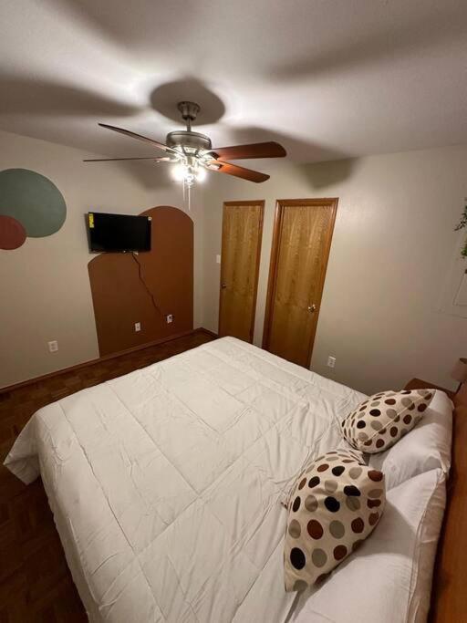 Mcallen 4Br With Pool, Shopping & More Bagian luar foto